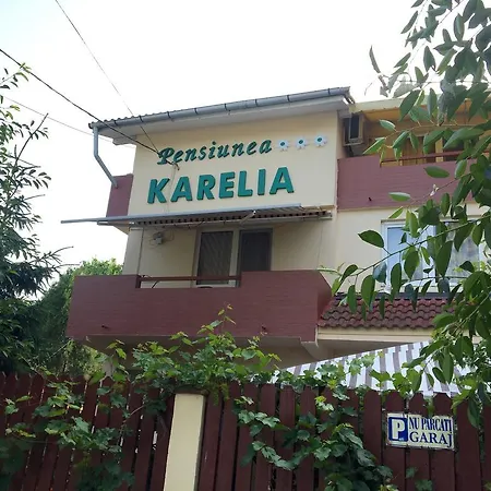 Pensiunea Karelia-3